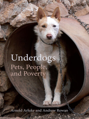 cover image of Underdogs